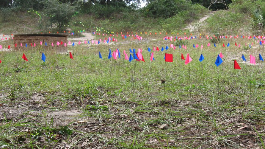 Colorful utility marking flags make patterns up a hill at the Jacksonville Arboretum