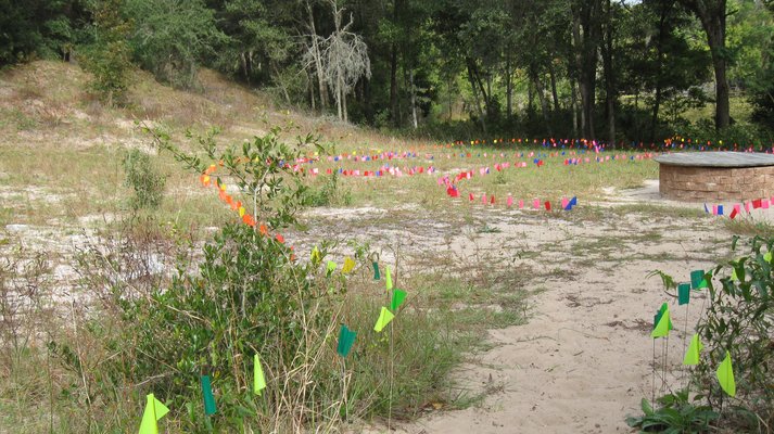 Colorful utility marking flags are lined up by color in lines that weave along the trails at the Jacksonville Arboretum