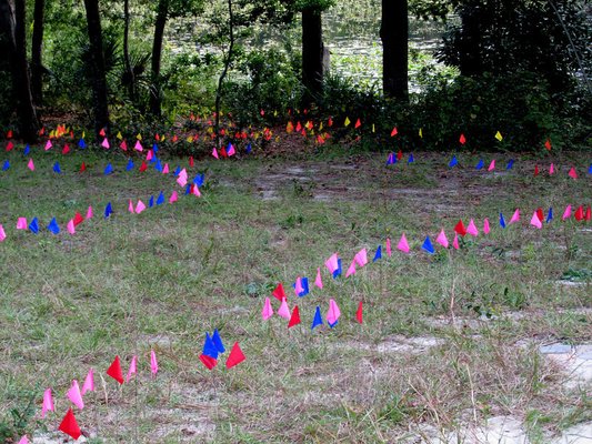 Colorful utility marking flags weave off a trail into the woods at the Jacksonville Arboretum