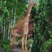 Lifesize stylized rough plywood giraffe stands tall amongst the landscape at the zoo.