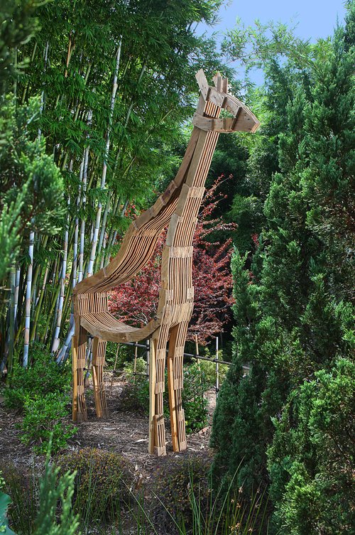 Lifesize stylized rough plywood giraffe stands tall amongst the landscape at the zoo.